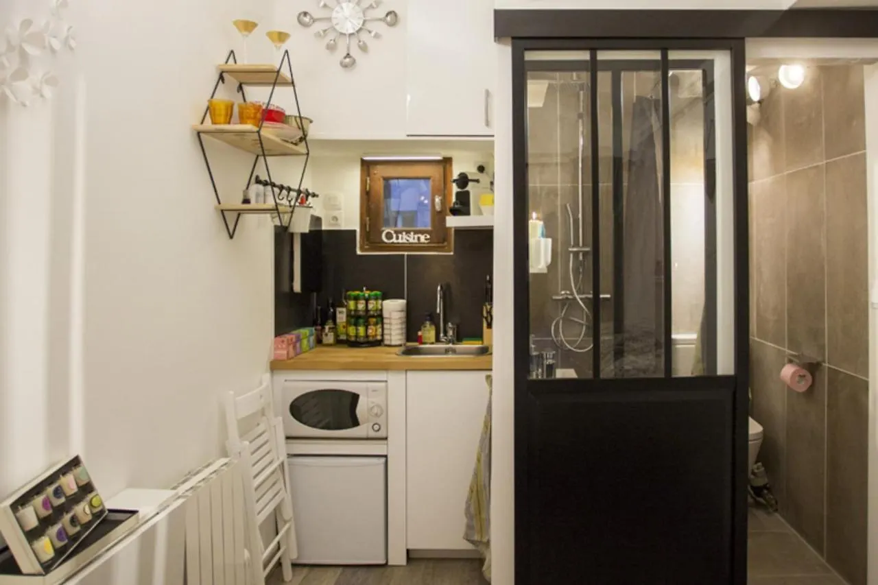Appartement Nid du Parc - Parfait 1 personne à Lyon 0*,